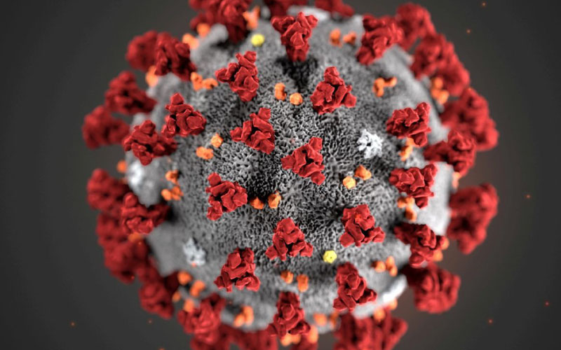 Covid-19-virus